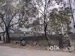 Clear Title Property for Sale in Narsingi Kokapet