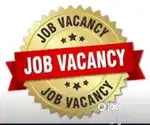 Jobs/home based jobs are available