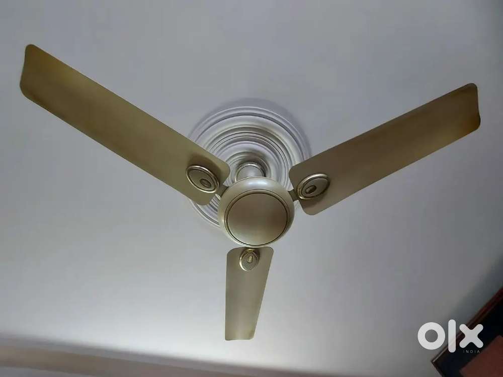 Ceiling fan