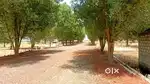 Akunuru Plots for sale. Upto 90% Bank Loan