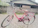 Lady bird bicycle