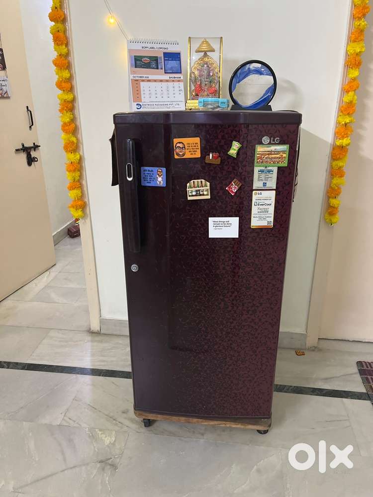 LG 4 star 185 ltr fridge