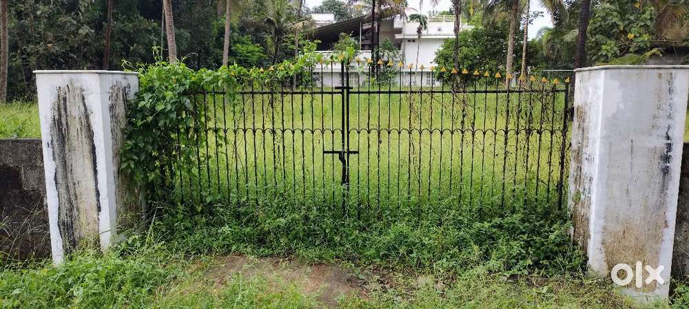 40 CENT LAND FOR SALE AT ANGAMALY KARUKUTTY