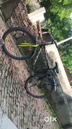 New bicycle only 1 year