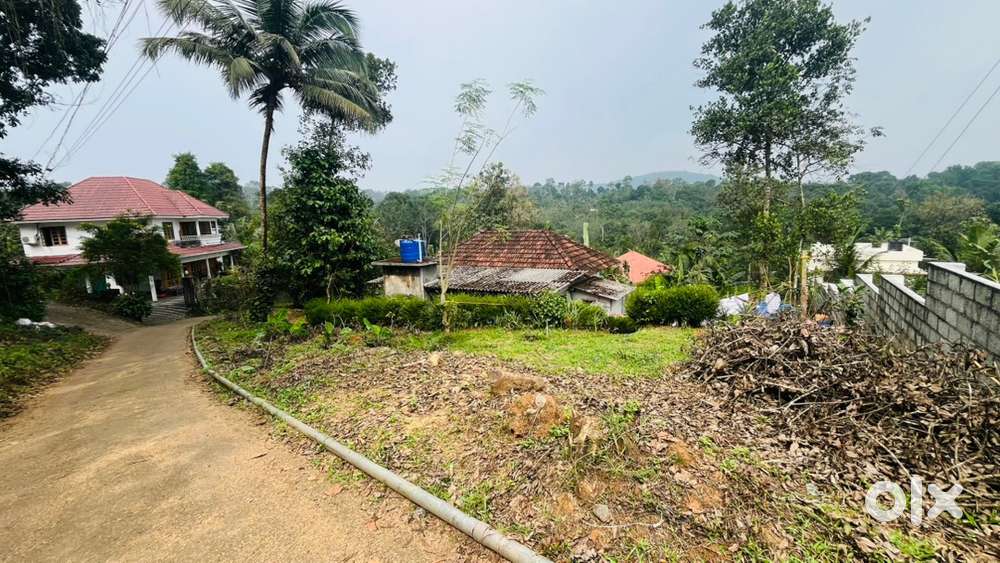 35 cent property and house