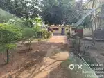 Vikas Nagar near devki vihar