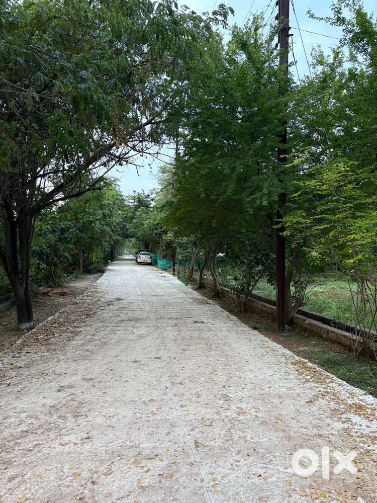 Plot for sale near high court opposite of kali dhaba