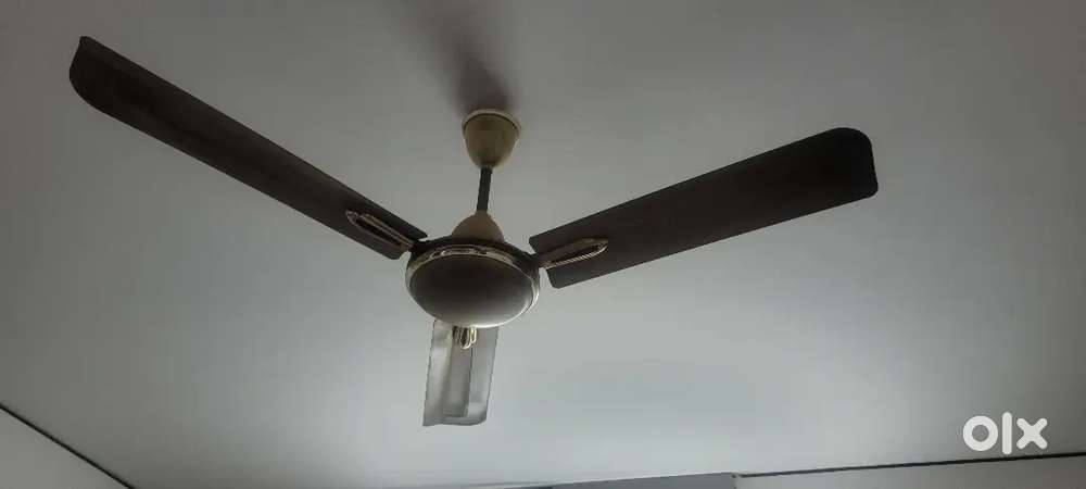 selling ceiling fans