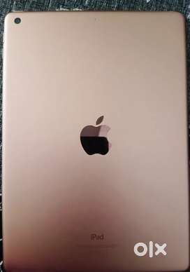 Apple ipad