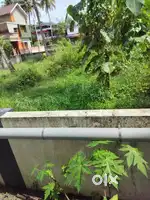 House plot for sale near MARTHOMA college perumbavoor