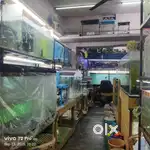 store helper