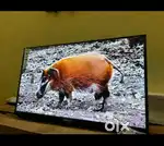 அட்டகாசமான OFFER SALE LATEST MODEL LED TV SUPER SALE COD ALSO