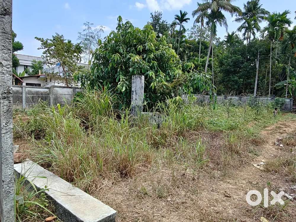 ഇരിങ്ങാലക്കുട കിഴുതാണീയിൽ പ്ലോട്ടിങ് ന് അനുയോജ്യമായ പറമ്പ് വിൽപ്പനക്ക്