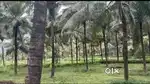 2 Farm for Sale Acres near Kal Mettupalayam, Coimbatore-Pollachi Mai