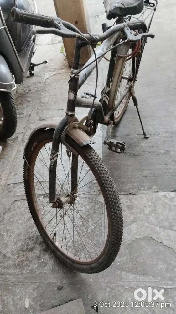Without gear Bicycle for sale