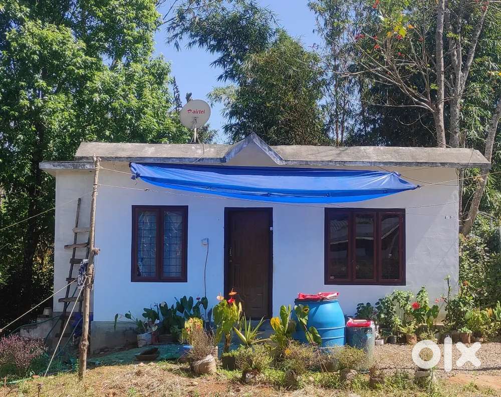 House and plot for sale at Attappallam Kumily