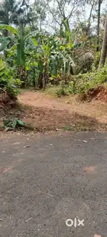 14 CENTS LAND FOR SALE.