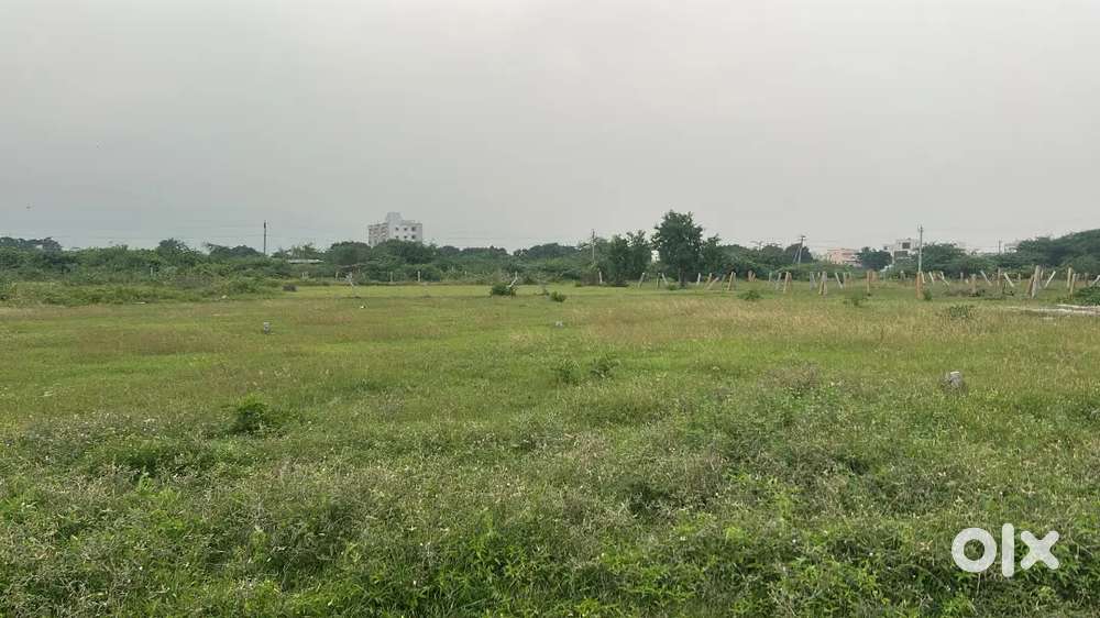 Original land registration