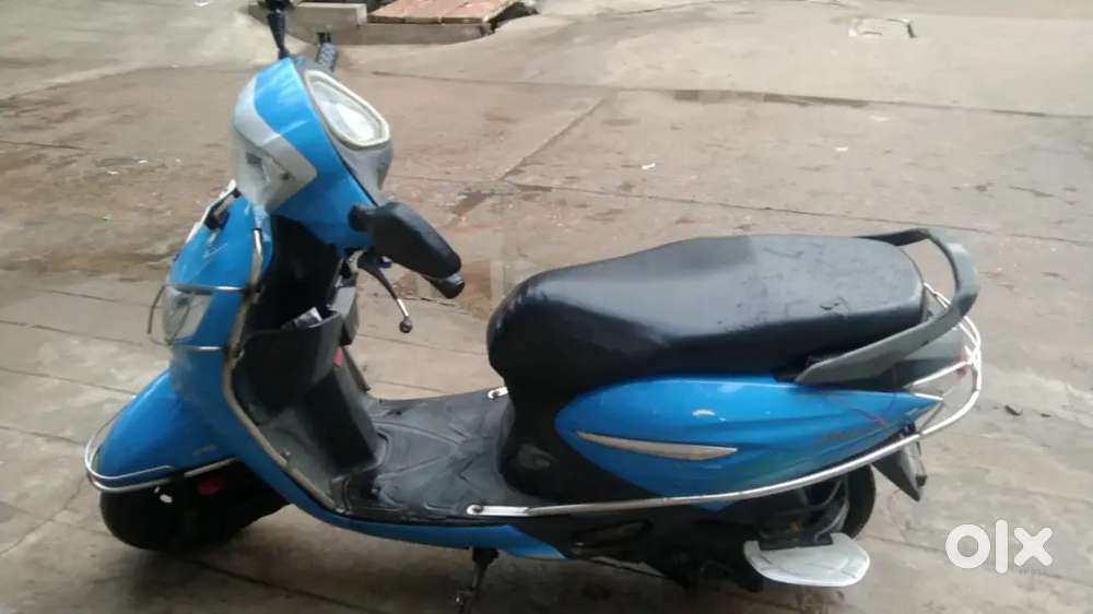 Pleasure+ (LX),Age - 4yrs