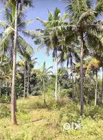 Land good for building homes