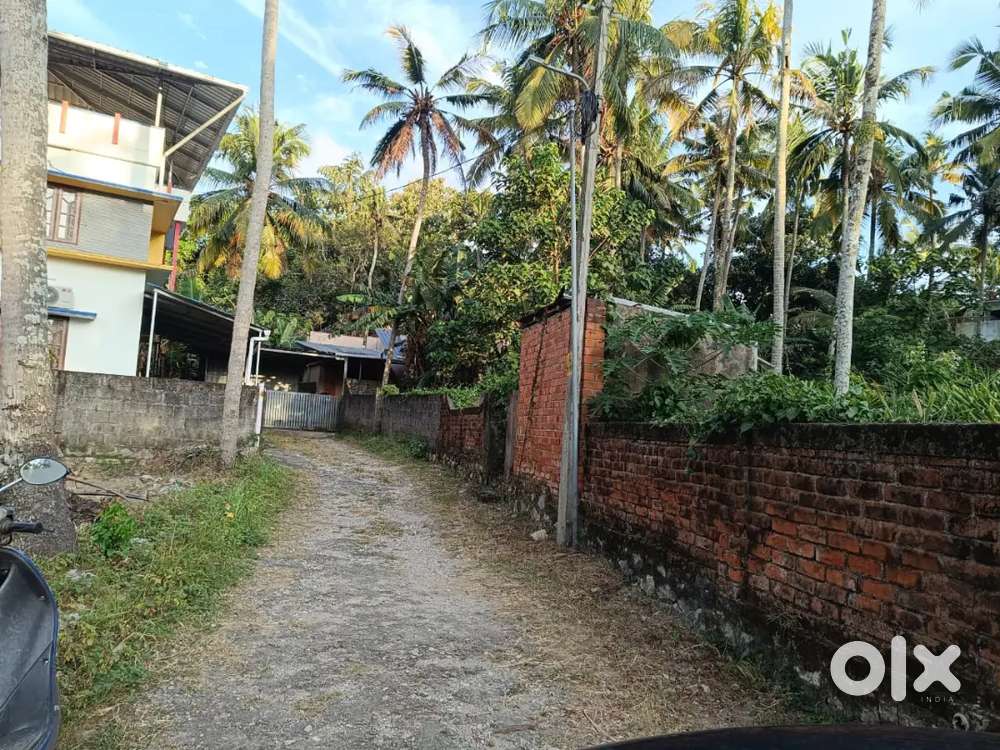 Plot for Sale near Karyam. 15.17 cents(8.5L/cents) slightly nego