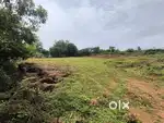 Land for sale in Honnavar Apsaragonda 26, 15, 40 Gunta