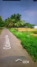 கொடுமுடி அருகில் 25 சென்ட் இடம் விற்பனைக்கு உள்ளது.