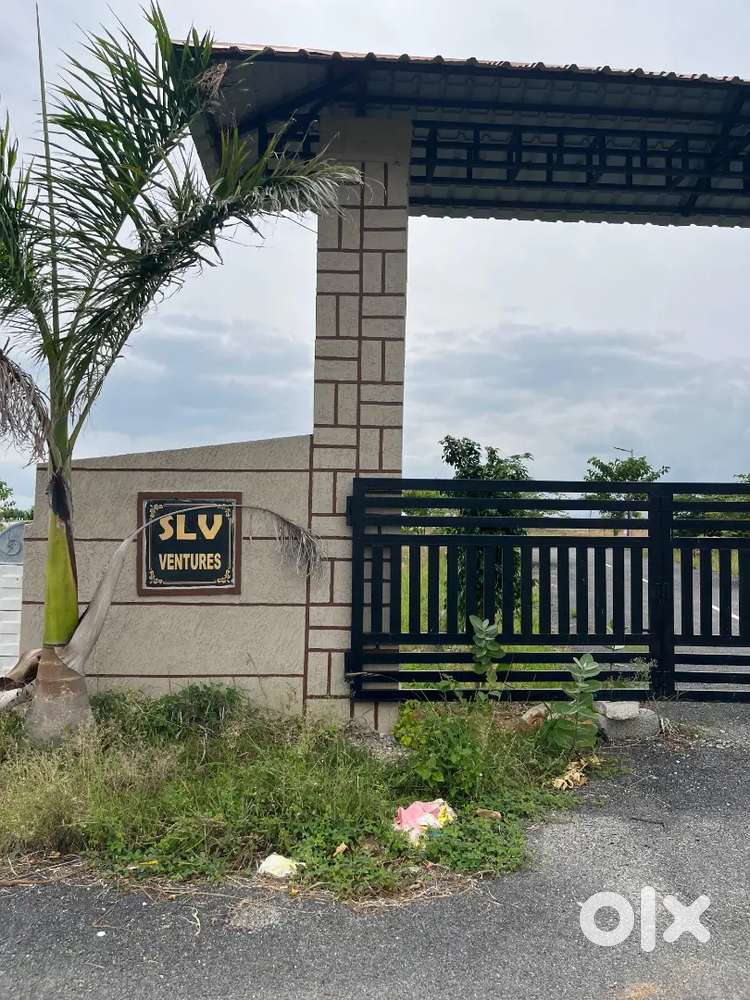Slv ventures plotno.74,Bheemaganipalli,Punganuru