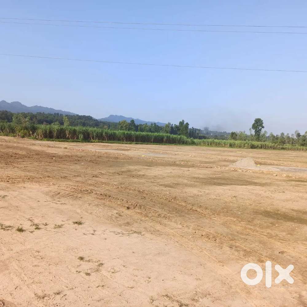 Best for Residential and Investment Plot at Dharmawala