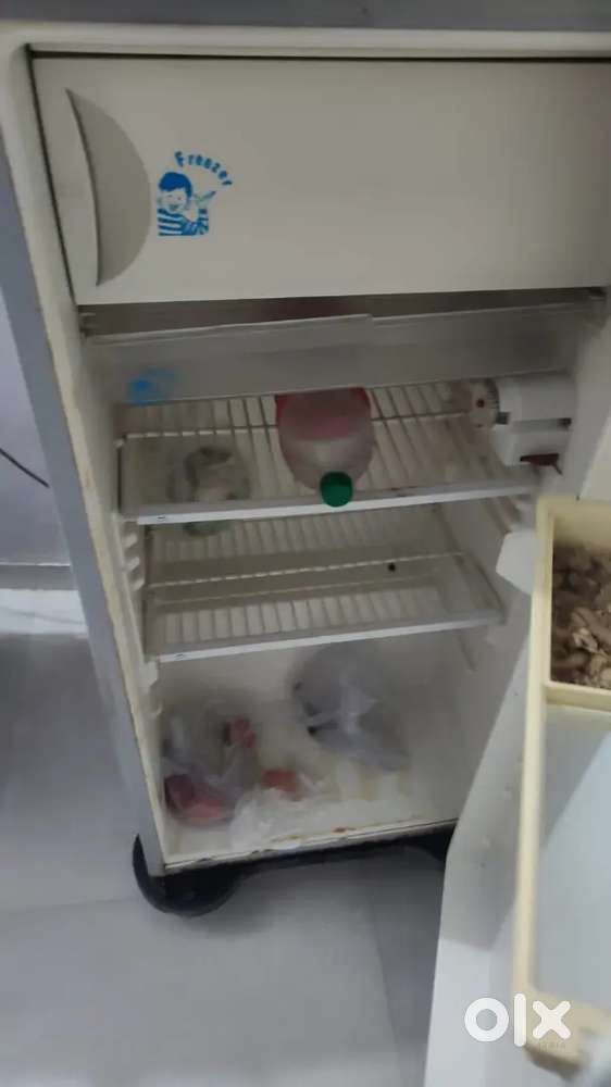 Mint condition refrigerator