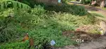 Agri Land for selling