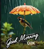 Paisa ni jarur che