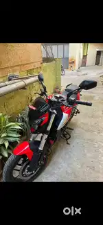 Dominar 250