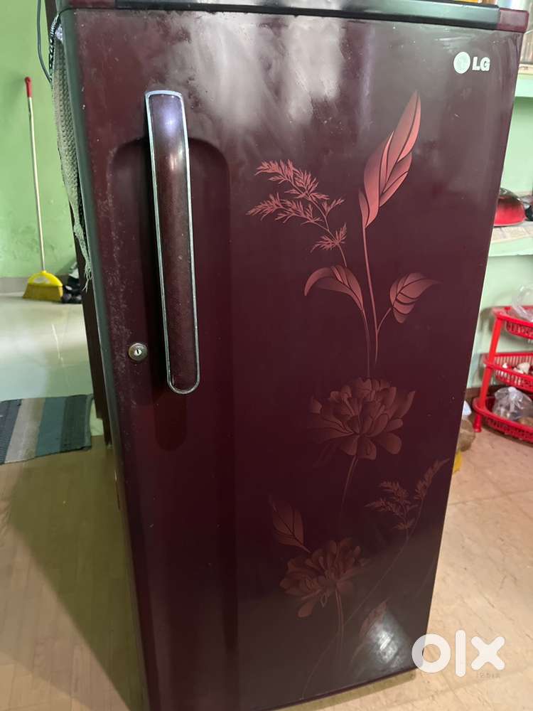 LG refridgerator 10 years old
