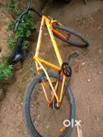 Cyclex full condition
