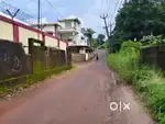 12 CENT ORGINAL LAND IN KAKKANAD NAVODHAYA NEAR MILLUPADY
