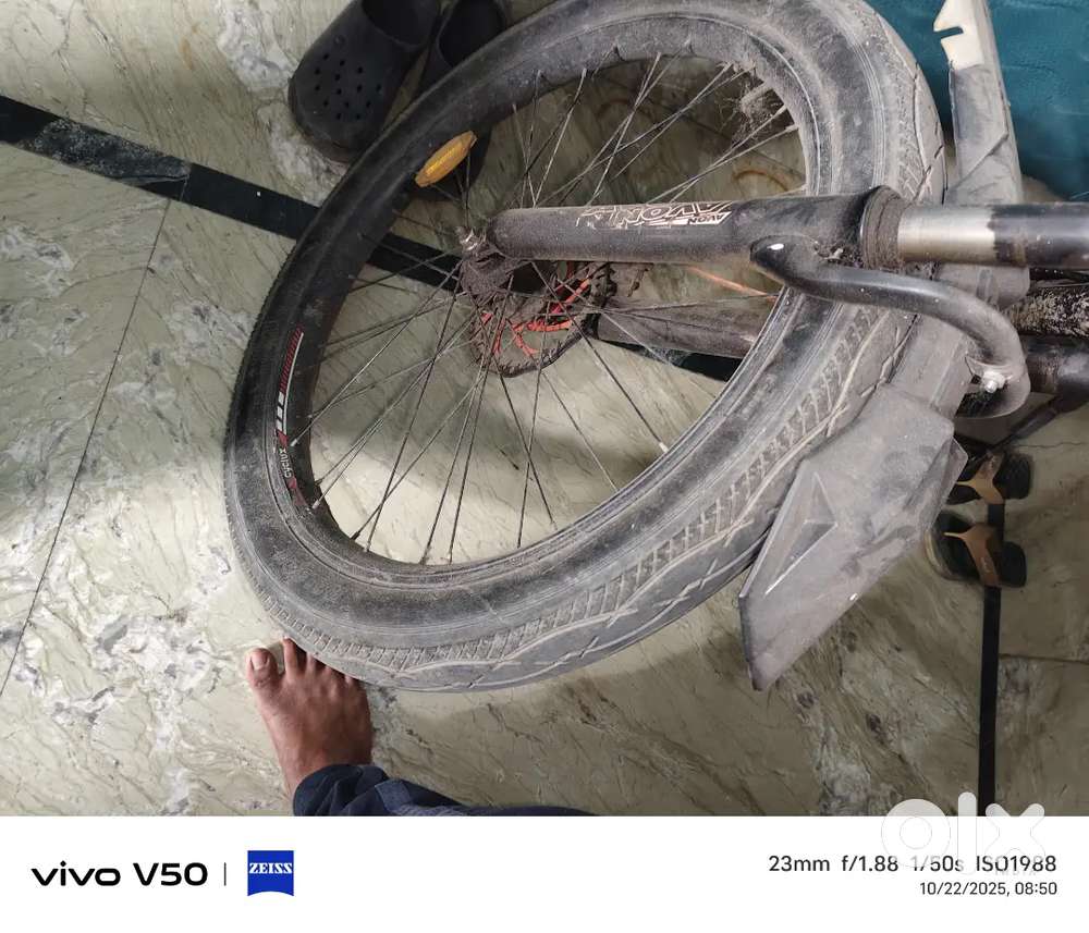 Double disc double soccer 1 year old