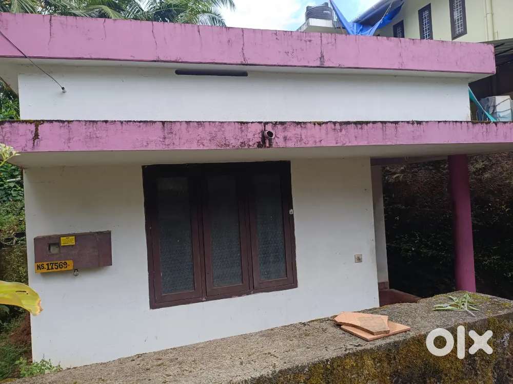 സിംഗിൾ വീട് വാടകയ്ക്ക് കോവൂർ