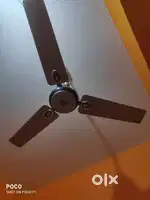 Havells fan good condition