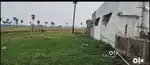 sale 10cent land