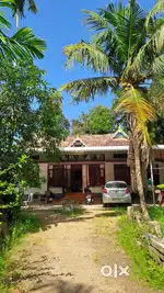 25 CENT INCLUDING HOUSE FOR SALE IN ELAMKUNNAPUZHA