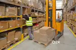PACKING/HELPER/JOB FRESHER AND EXPERIENCE BOTH CAN APPLY.