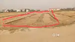 143 Tharu Land plot- Near to Toll Plaza Kumraha Khatima