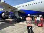 Girls and boys required at airport