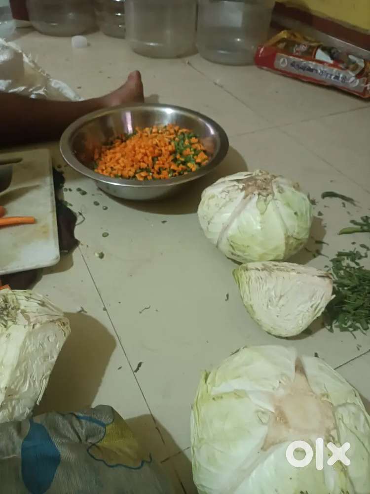 I m all rounder chef