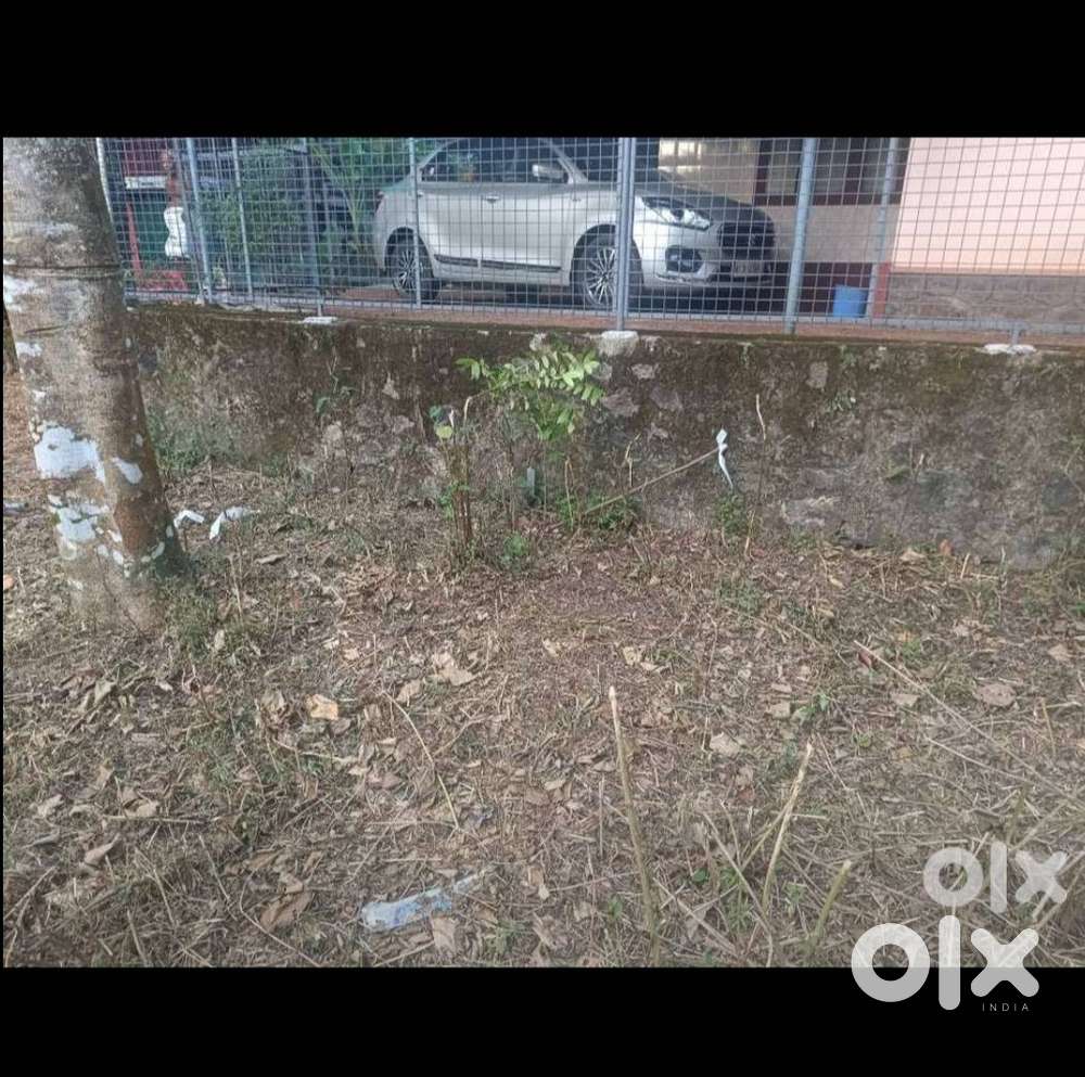 25 സെന്റ് പുരയിട ഭൂമി സ്ഥലം വില്പനക്ക്