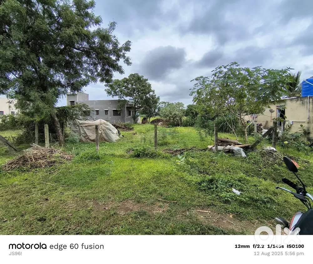 कलेक्टर NA प्लॉट