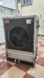 Dessert Cooler 3 feet