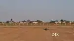 Investment property near Hyderabad