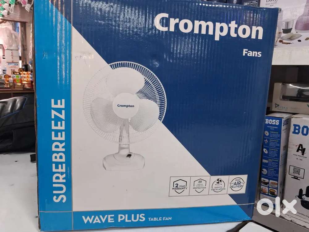 Wall mounted fan